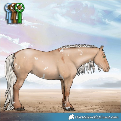 Horse Color:White Spotted Silver Brown Pearl Dun 