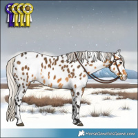 Horse Color:White Spotted Silver Buckskin Appaloosa Rabicano