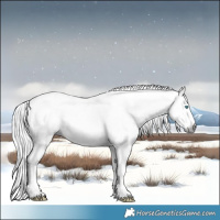 Horse Color:Gray White Spotted Liver Red Dun Snowdrop Pearl Blanket 
