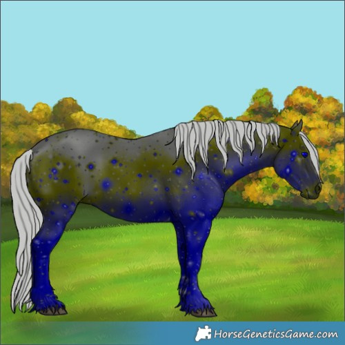 Horse Color:ERROR: UNKNOWN ANOMALY