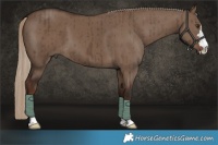 Horse Color:Liver Red Dun Brindle