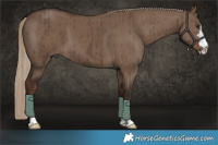 Horse Color:Liver Red Dun Brindle 
