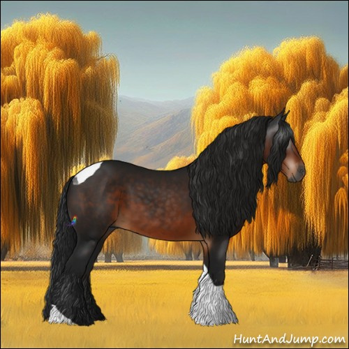 Horse Color:Gray Brown Tobiano