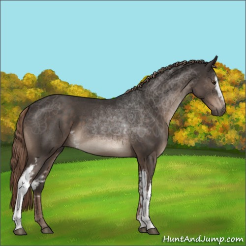 Horse Color:White Spotted Liver Red Roan 