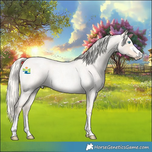 Horse Color:Cremello Roan Rabicano 