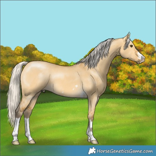 Horse Color:Silver Buckskin Dun 