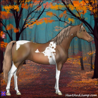 Horse Color:Chestnut Tobiano 