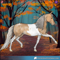 Horse Color:Silver Buckskin Dun Tobiano 
