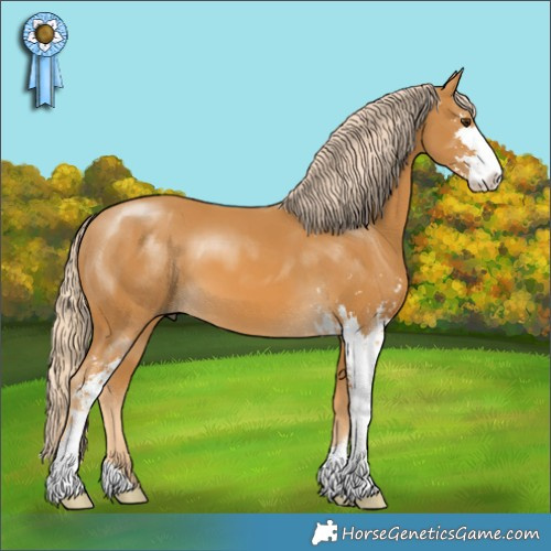 Horse Color:Palomino Sabino 