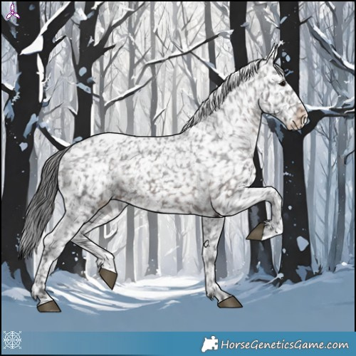 Horse Color:Brown Appaloosa 