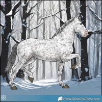 Horse Color:Brown Snowflake Varnish