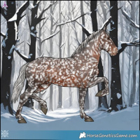 Horse Color:Silver Brown Snowflake Varnish