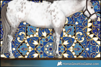 Horse Color:Gray Bay Tobiano Near Leopard 