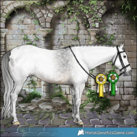 Horse Color:Gray Buckskin Tobiano Blanket 