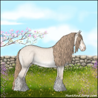 Horse Color:Perlino Dun Tobiano 