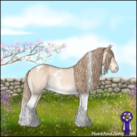 Horse Color:Perlino Dun Tobiano 
