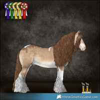 Horse Color:Gray Perlino Dun Tobiano