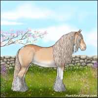 Horse Color:Gray Cremello Dun Tobiano Appaloosa 