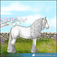 Horse Color:Gray Cremello Dun Tobiano Varnish 