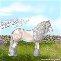 Horse Color:Cremello Tobiano Blanket