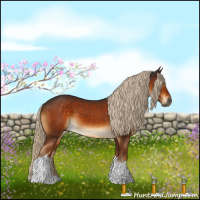 Horse Color:Gray Chocolate Palomino Tobiano 