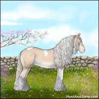 Horse Color:Cremello Tobiano Varnish 