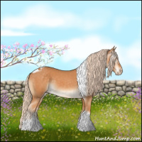 Horse Color:Gray Cremello Tobiano 