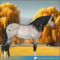 Horse Color:Brown Roan Dun Mushroom Rabicano 