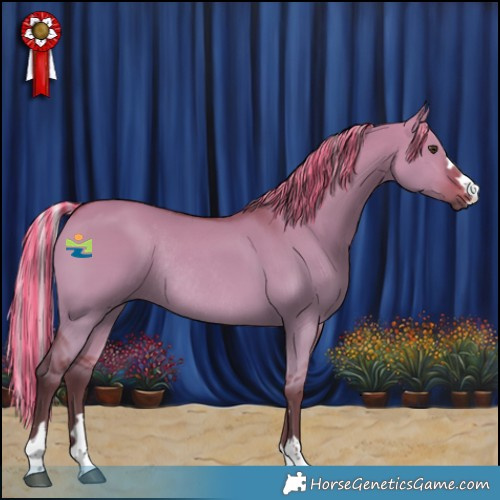 Horse Color:Painted Silver Bay Dun Rabicano 