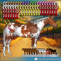 Horse Color:White Spotted Silver Bay 