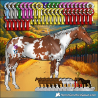 Horse Color:White Spotted Silver Bay 