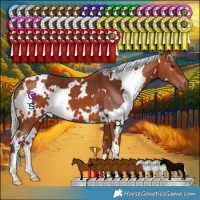 Horse Color:White Spotted Silver Bay 