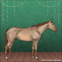 Horse Color:Red Dun 