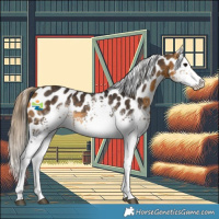 Horse Color:White Spotted Buckskin Appaloosa Rabicano 