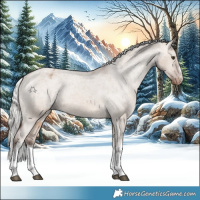 Horse Color:White Spotted Silver Brown Dun Appaloosa Rabicano 