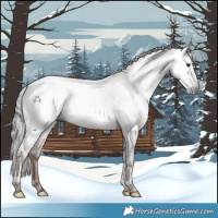 Horse Color:Gray Liver Chestnut Tobiano Varnish Rabicano 