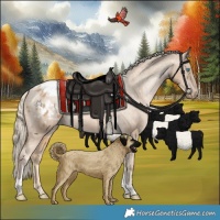 Horse Color:White Spotted Chocolate Palomino Pearl Tobiano Appaloosa Rabicano 