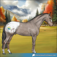 Horse Color:Liver Red Dun Snowcap