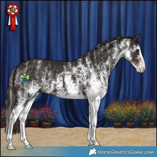 Horse Color:White Spotted Liver Chestnut 