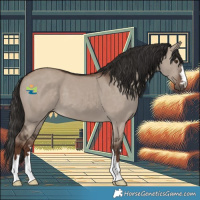 Horse Color:Liver Red Dun 
