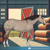Horse Color:Liver Red Dun 
