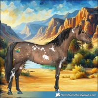 Horse Color:White Spotted Brown Dun Rabicano 