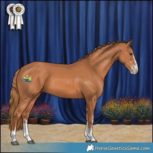 Horse Color:White Spotted Chestnut 