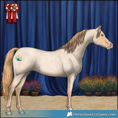 Horse Color:Gold Champagne Roan 