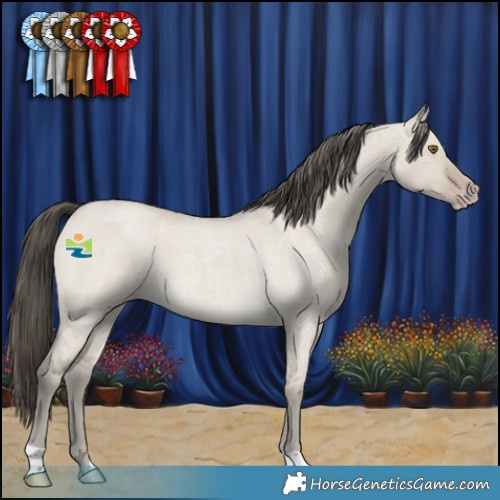Horse Color:Classic Cream Champagne Roan Dun 