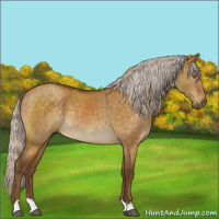Horse Color:Silver Buckskin Dun 