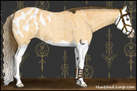 Horse Color:Buckskin Roan Dun Splash Appaloosa Brindle 