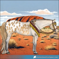 Horse Color:Buckskin Dun Blanket Brindle