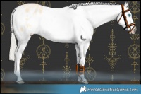 Horse Color:Palomino Pearl Dun Varnish Brindle 