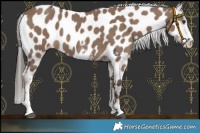 Horse Color:Liver Red Dun Sabino Near Leopard 